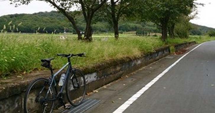 つくばりんりんロードはおすすめの輪行サイクリングコース！