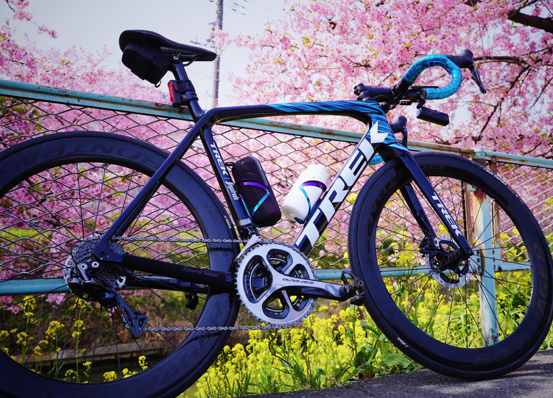 【お花見ライド】そうだ！河津桜を見に行こう〜♪　in 青毛堀川沿いの河津桜