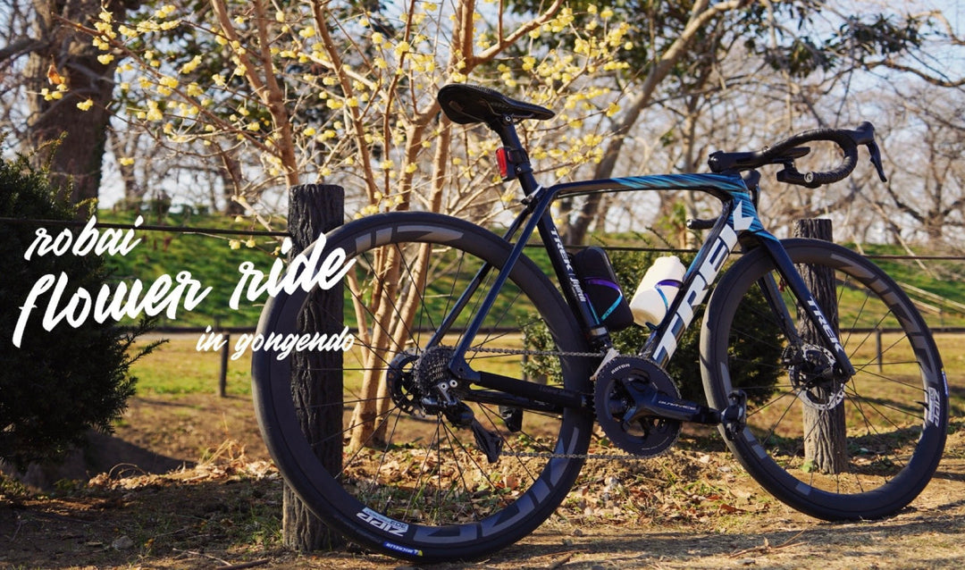 【お花見ライド】春は目の前！？春の訪れを感じに蝋梅を見に行く〜♪in 幸手権現堂