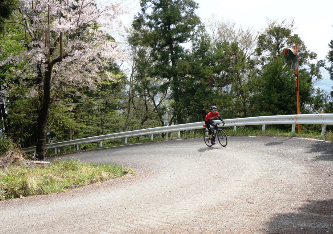 ｴﾓﾝﾀﾞALR5DISCWSD上り