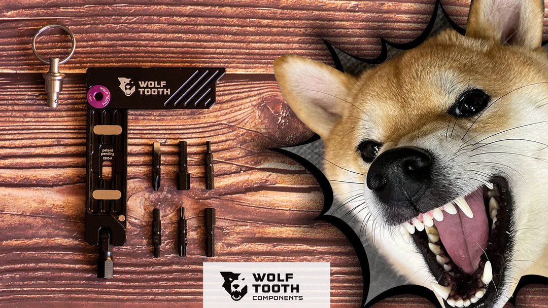 キーホルダーで持ち忘れなし！柴犬好きがハマる携帯用工具ウルフトゥース 6-Bit Hex Wrench