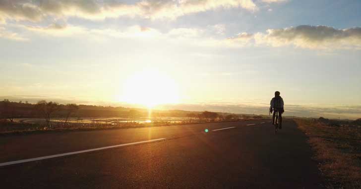 追跡！！謎の深海魚「アブラボウズ」を求め銚子島武水産へ！