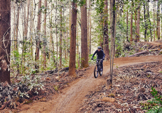 トレイルアドベンチャー横浜でMTB体験