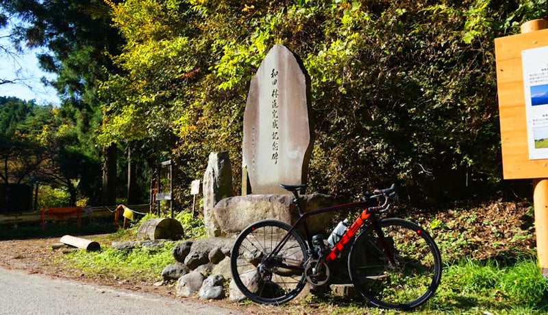 グルメ＆紅葉　和田峠に行ってきた！