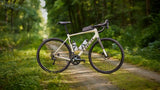 Domane AL