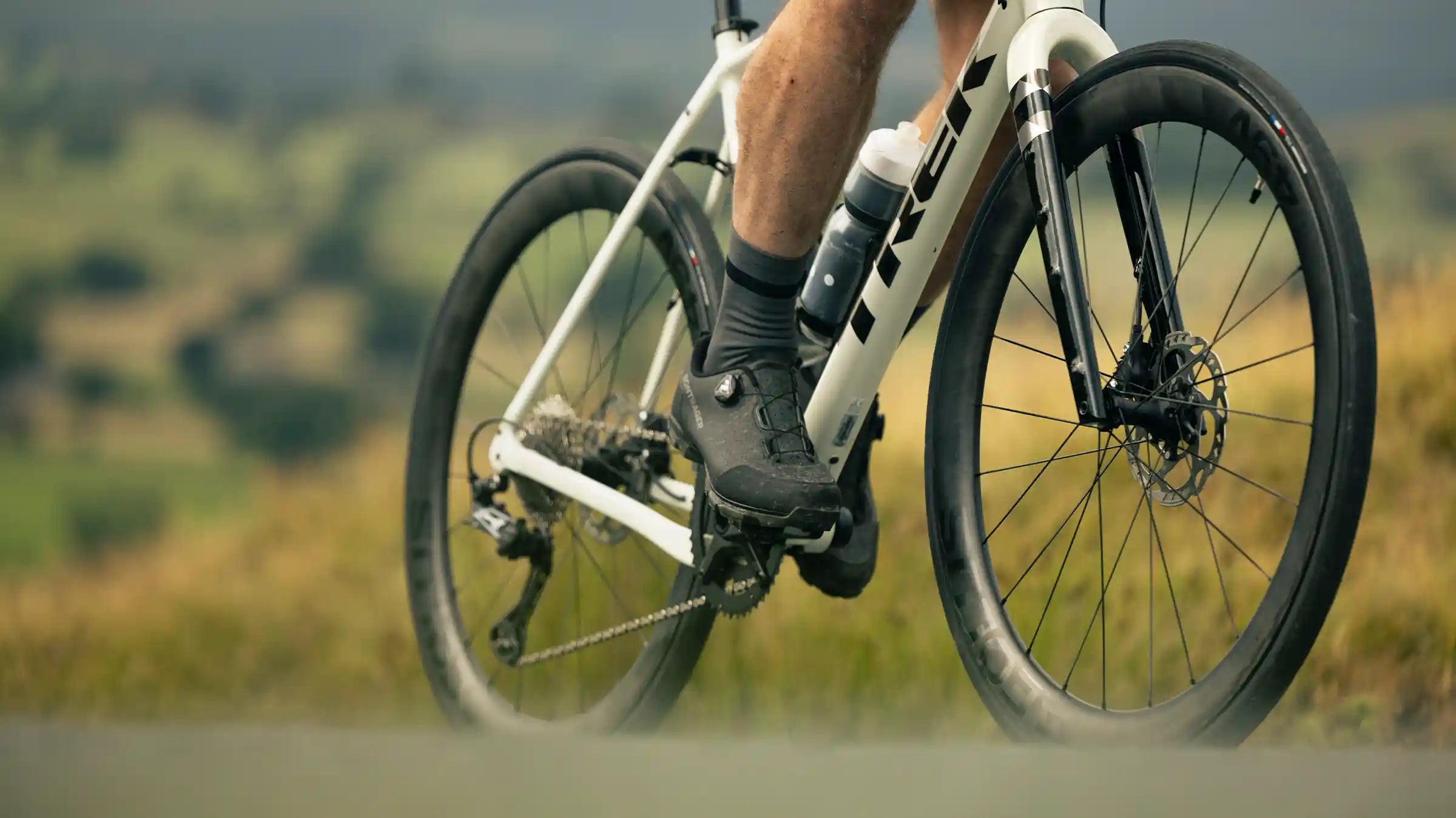 ボントレガータイヤ