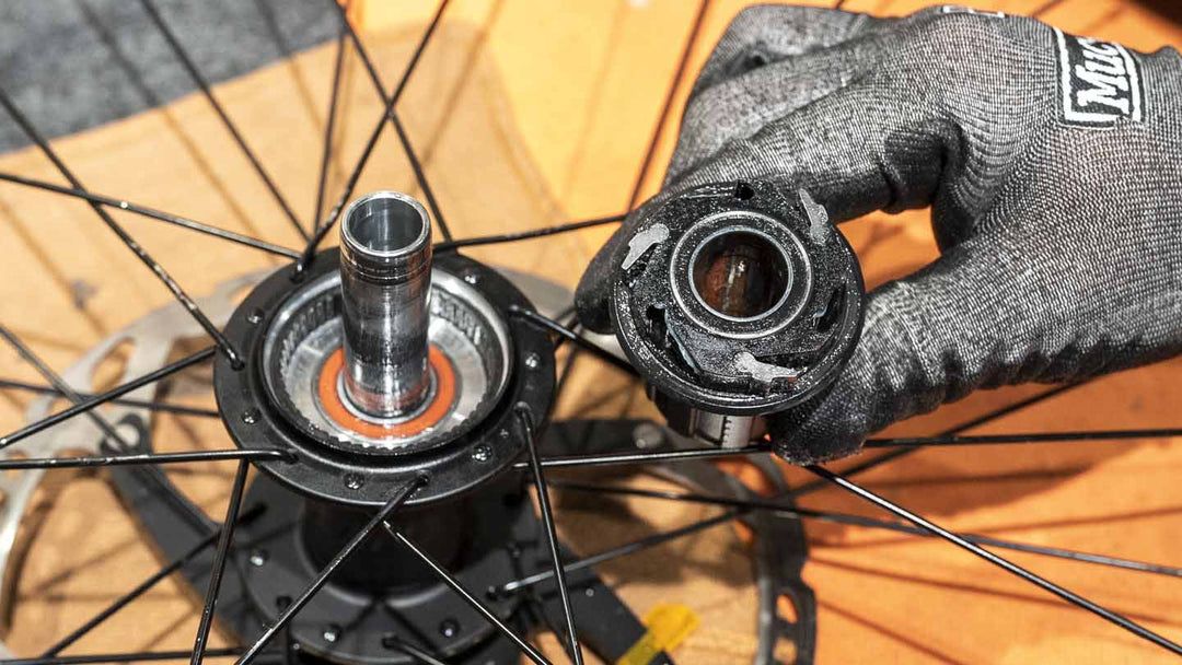 フリーハブからフリーボディを取り外した様子