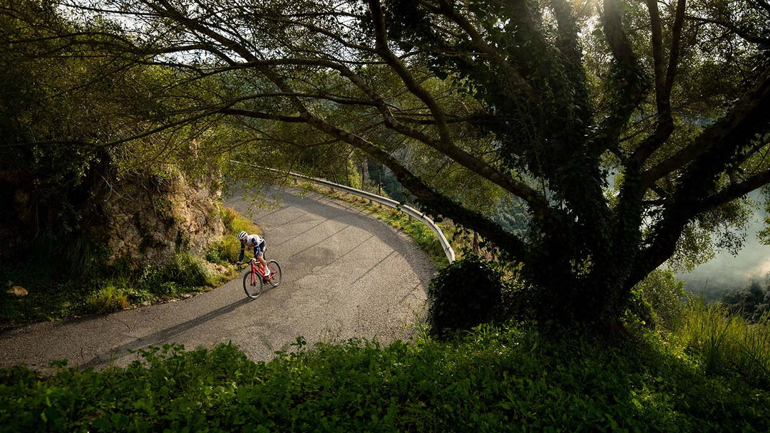 ヒルクライムにおすすめのロードバイクと選ぶ際のポイントをご紹介するページのアイキャッチ画像