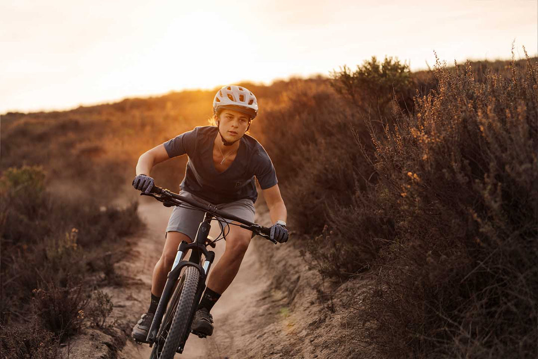 マーリンのライドイメージ