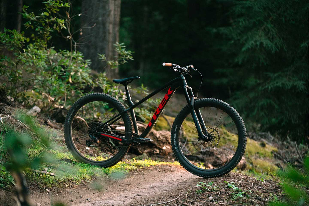 Roscoeのプロモーション画像