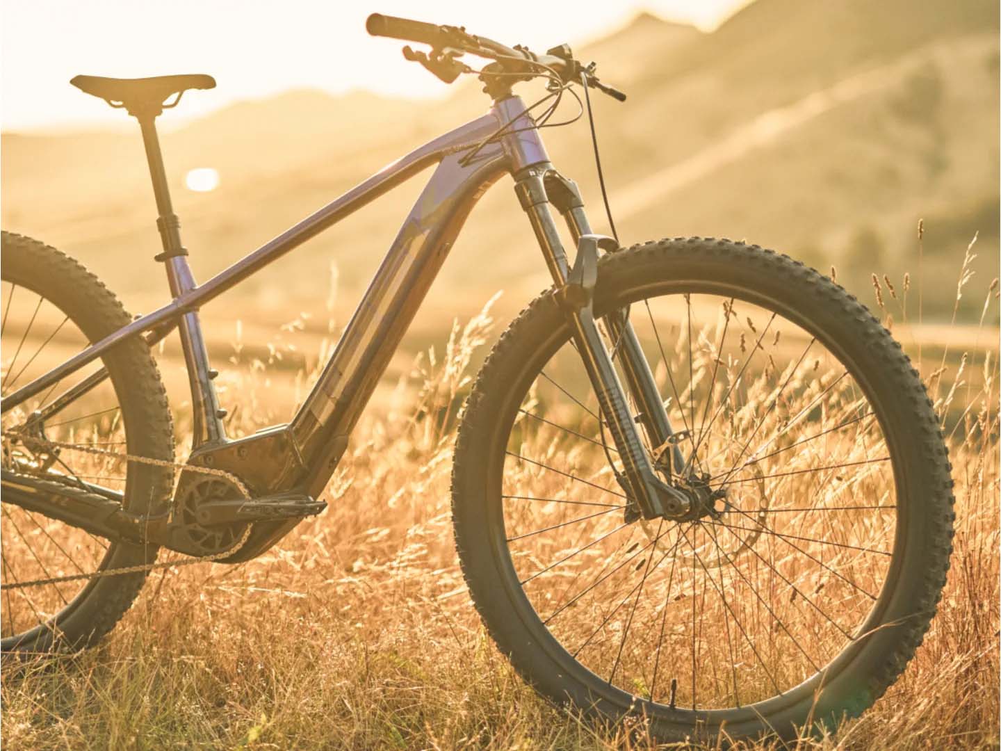 Marlin+（Marlin Plus/マーリンプラス）のイメージ画像