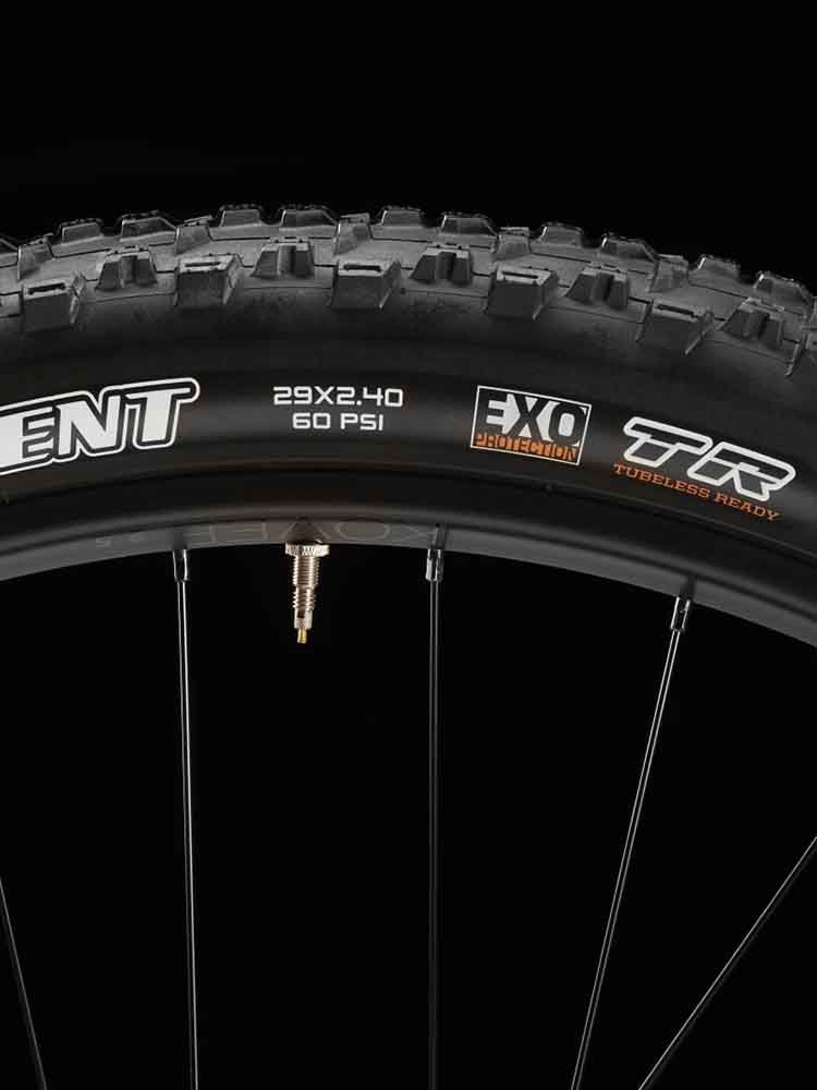 チューブレスレディタイヤ