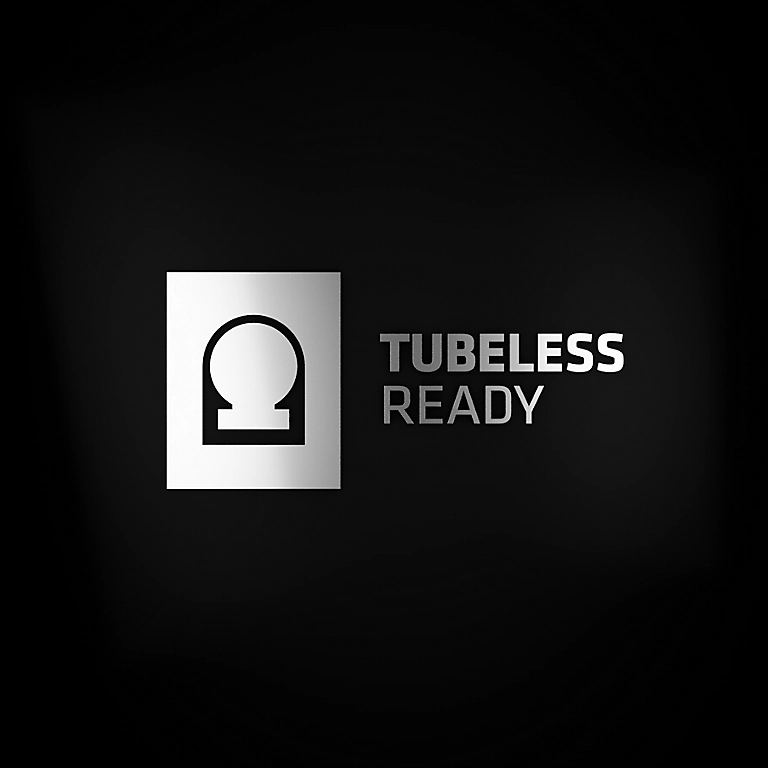 チューブレスレディ