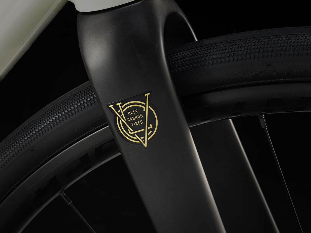 トレックドマーネAL4のカーボンフォーク