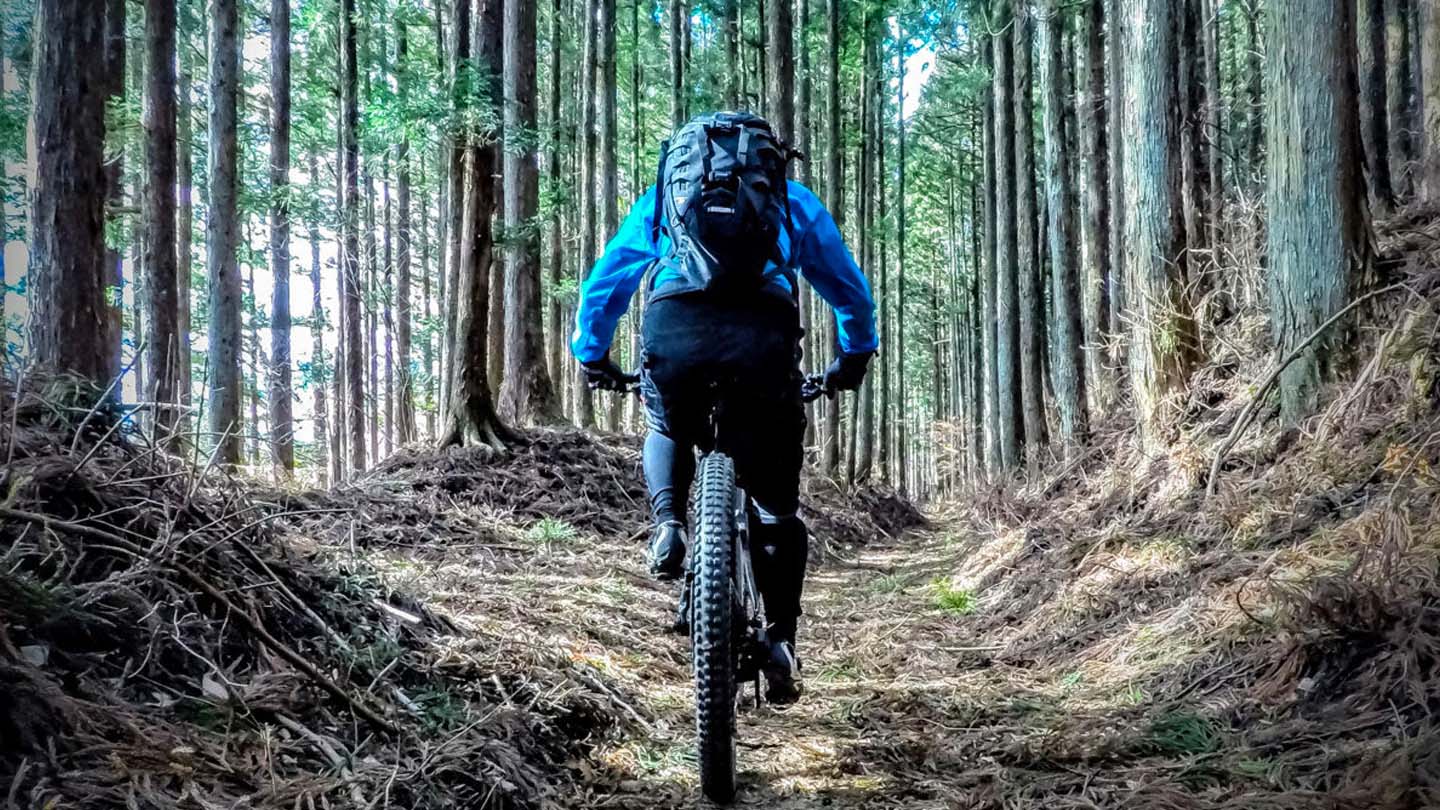 シングルトラックをひたすら登り続けるeMTBライドの様子