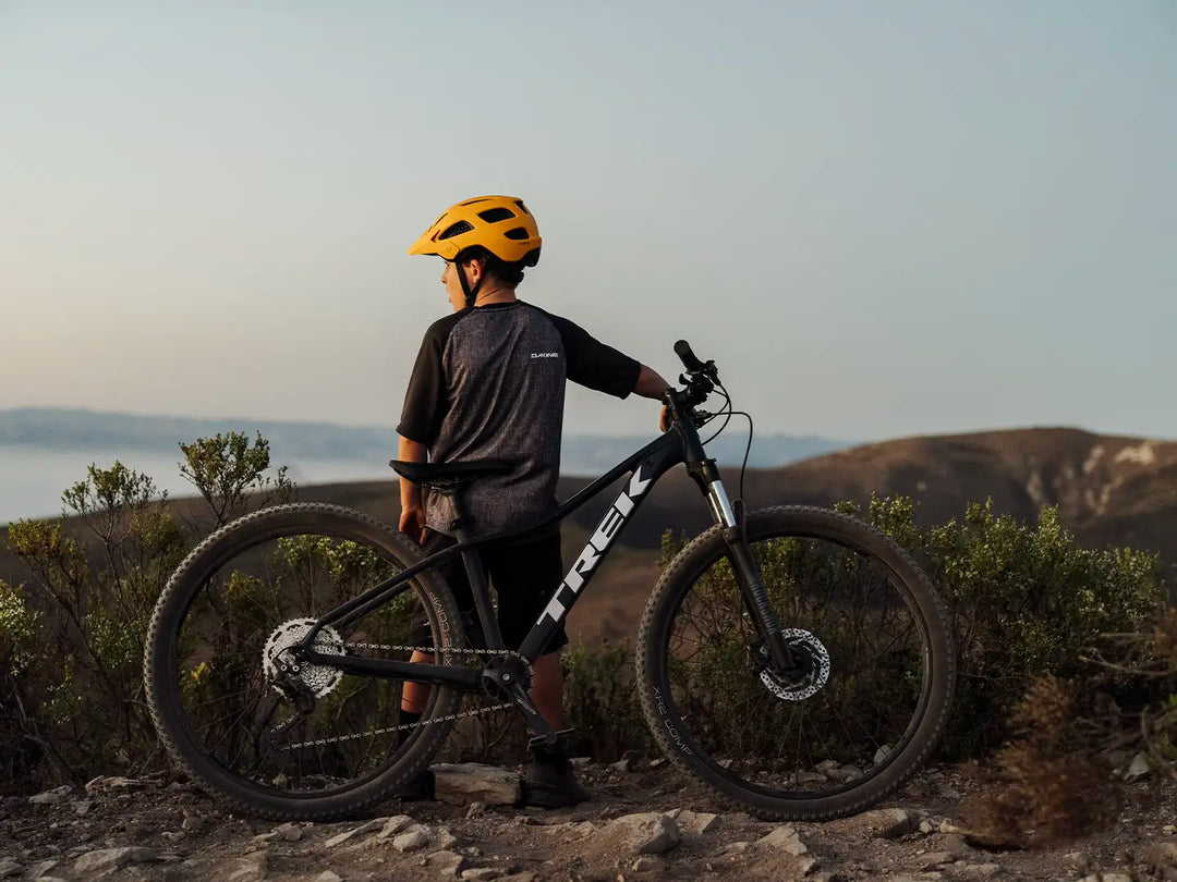 小さなフレームサイズのマーリン