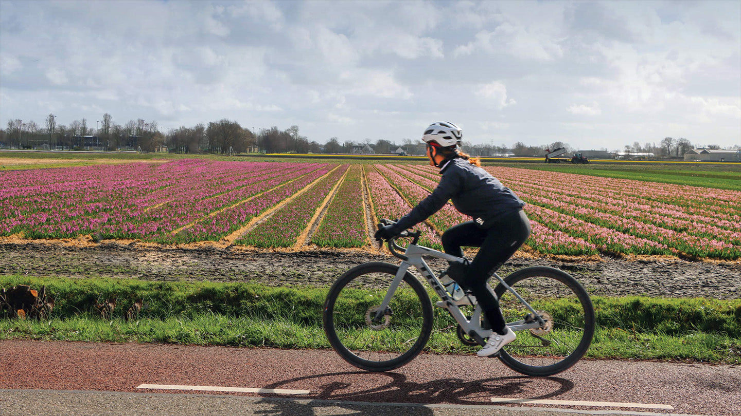 Trek Domane サイクリング画像